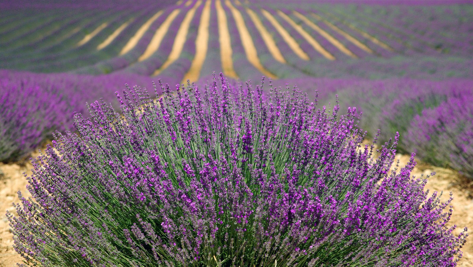 Kouzelná Provence obytným autem
